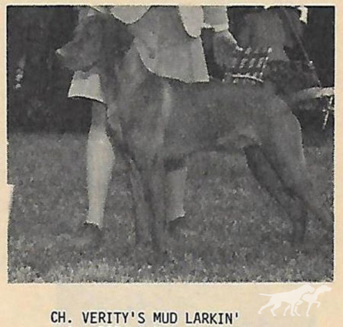 Verity's Mud Larkin'