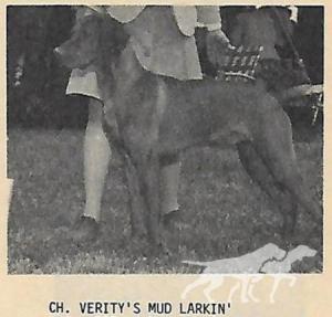 Verity's Mud Larkin'