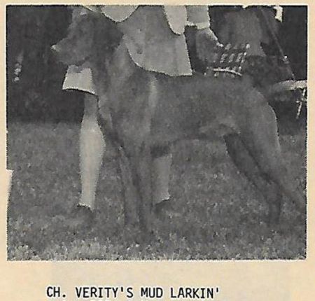 Verity's Mud Larkin'
