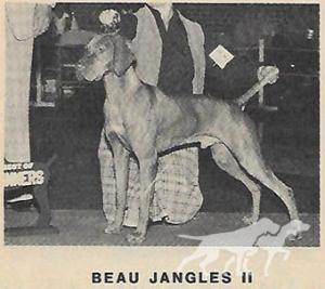 Beau Jangles II
