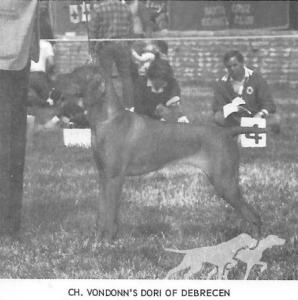 Vondonns Dori Of Debrecen