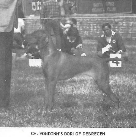 Vondonns Dori Of Debrecen
