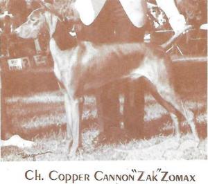 Copper Cannons Zak Zomax