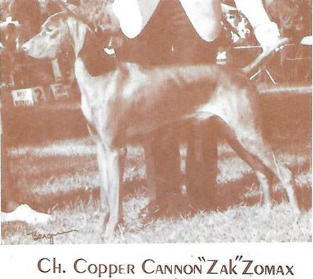 Copper Cannons Zak Zomax