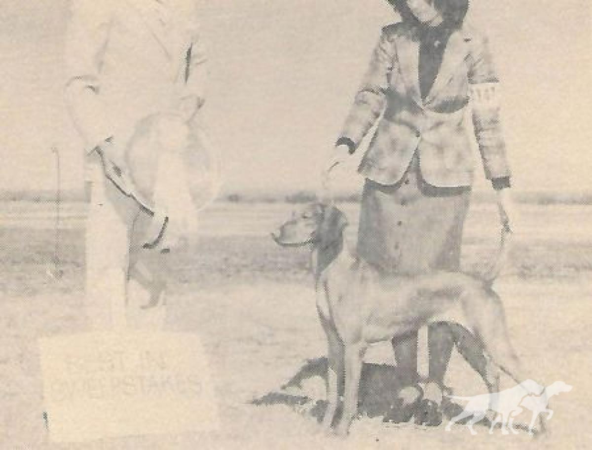 Glenogen Mali Eszaki