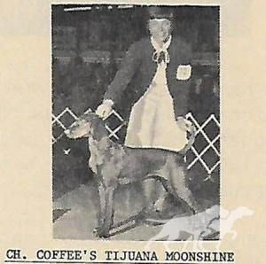 Coffee's Tijuana Moonshine