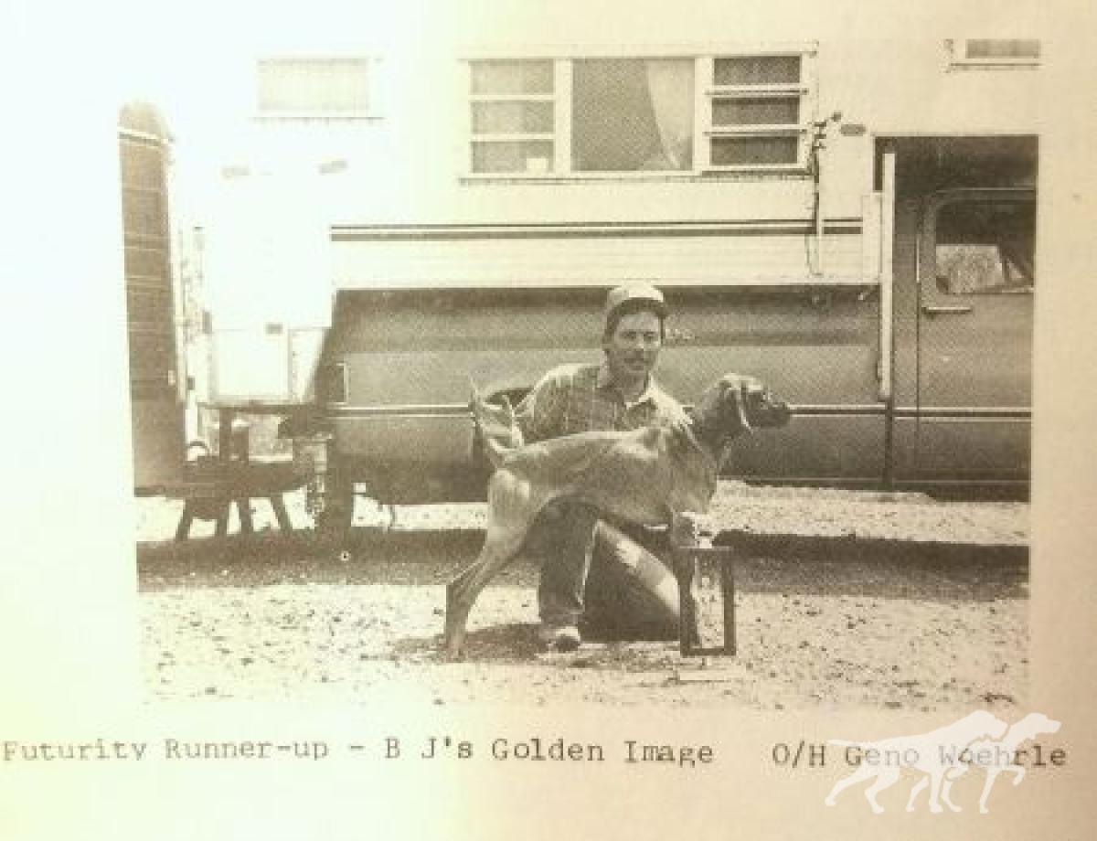 B J's Golden Image