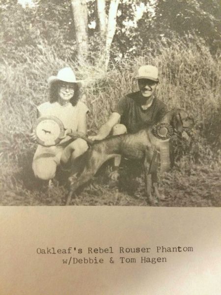Oakleaf's Rebel Rouser Fantom
