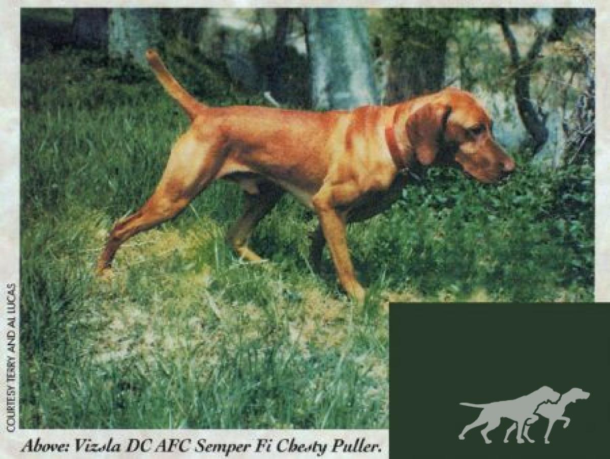 Semper Fi Chesty Puller