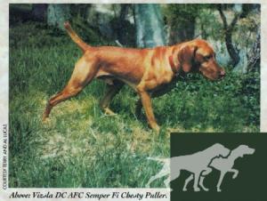 Semper Fi Chesty Puller