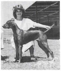 Golden Empire's Calico Katie