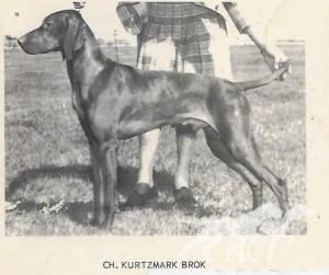 Kurtzmark Brok