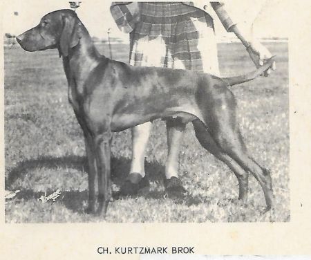 Kurtzmark Brok