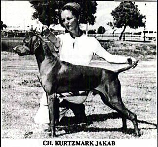 Kurtzmark Jakab