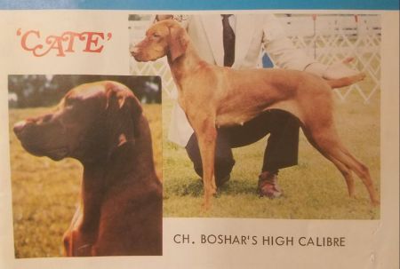 Boshar's High Caliber