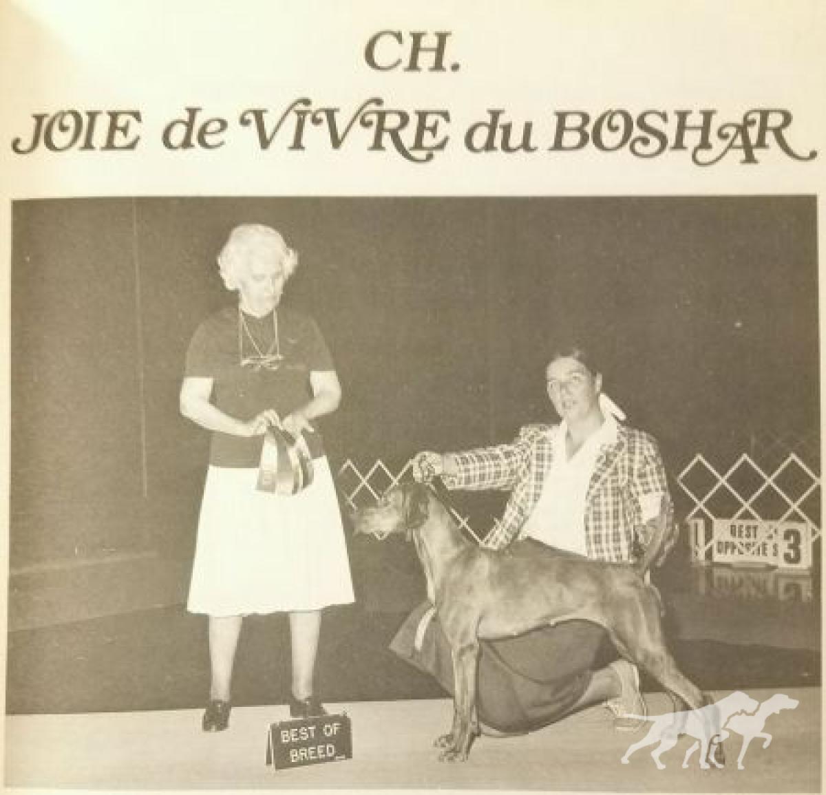 Joie De Vivre du Boshar