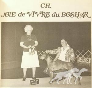 Joie De Vivre du Boshar