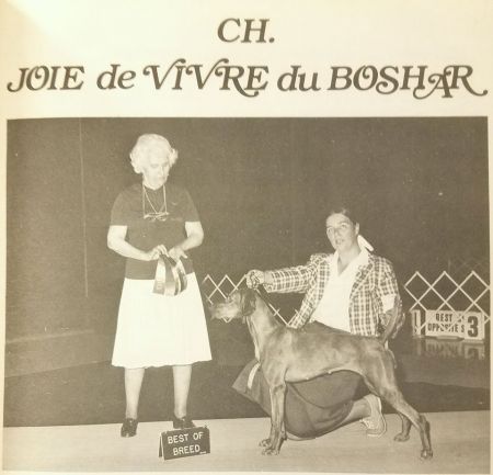 Joie De Vivre du Boshar