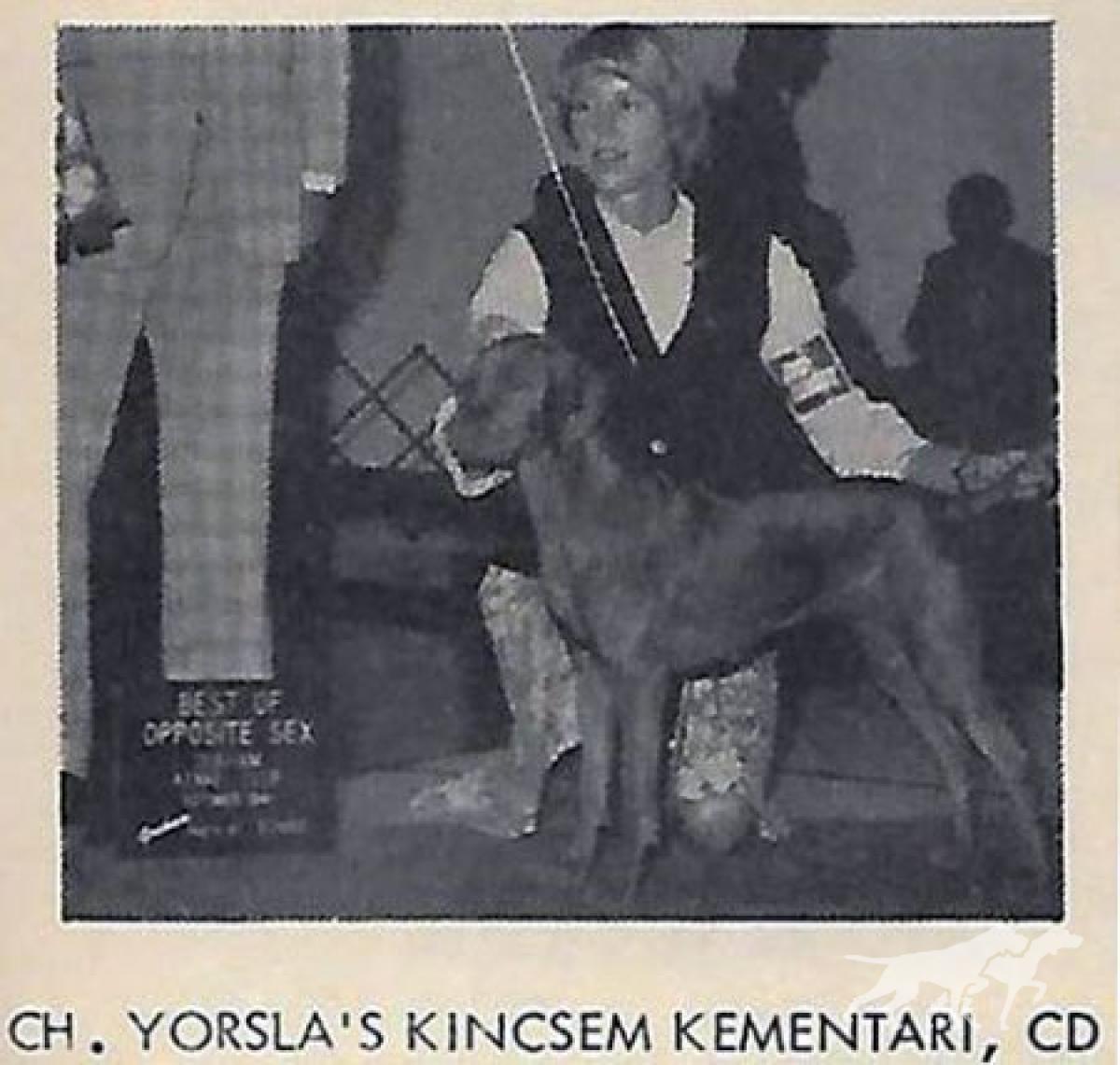 Yorsla's Kincsem Kementari