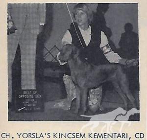 Yorsla's Kincsem Kementari