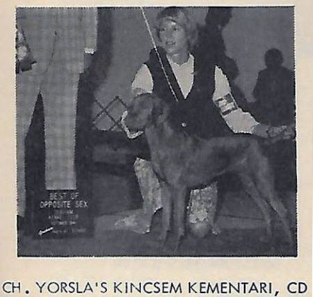 Yorsla's Kincsem Kementari
