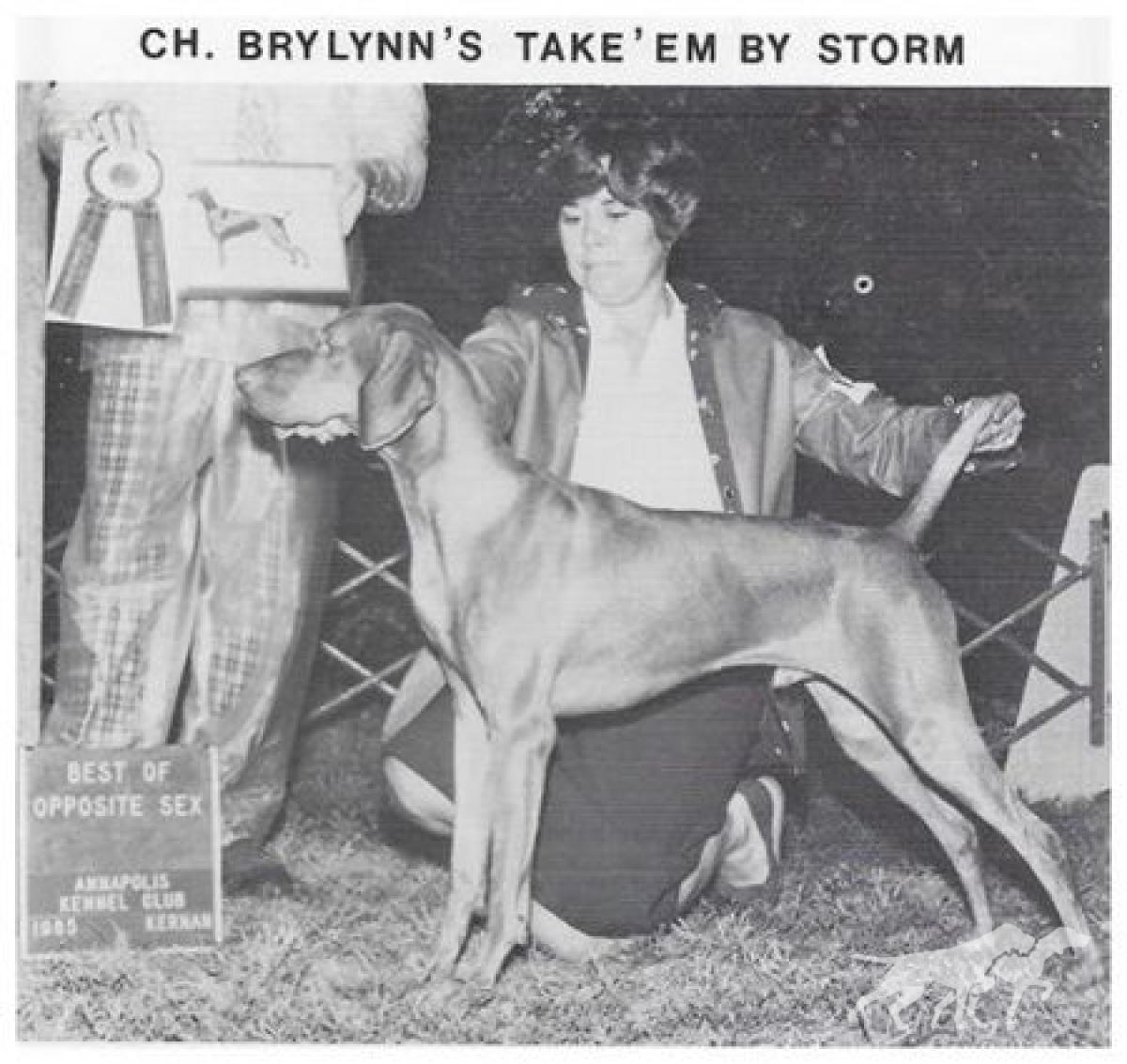 Brylynn's Take'Em By Storm
