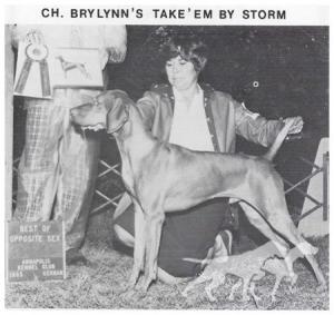 Brylynn's Take'Em By Storm