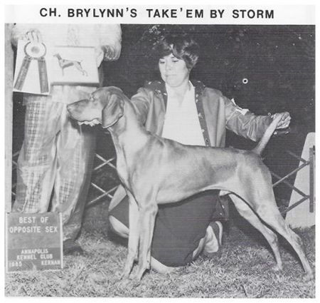 Brylynn's Take'Em By Storm