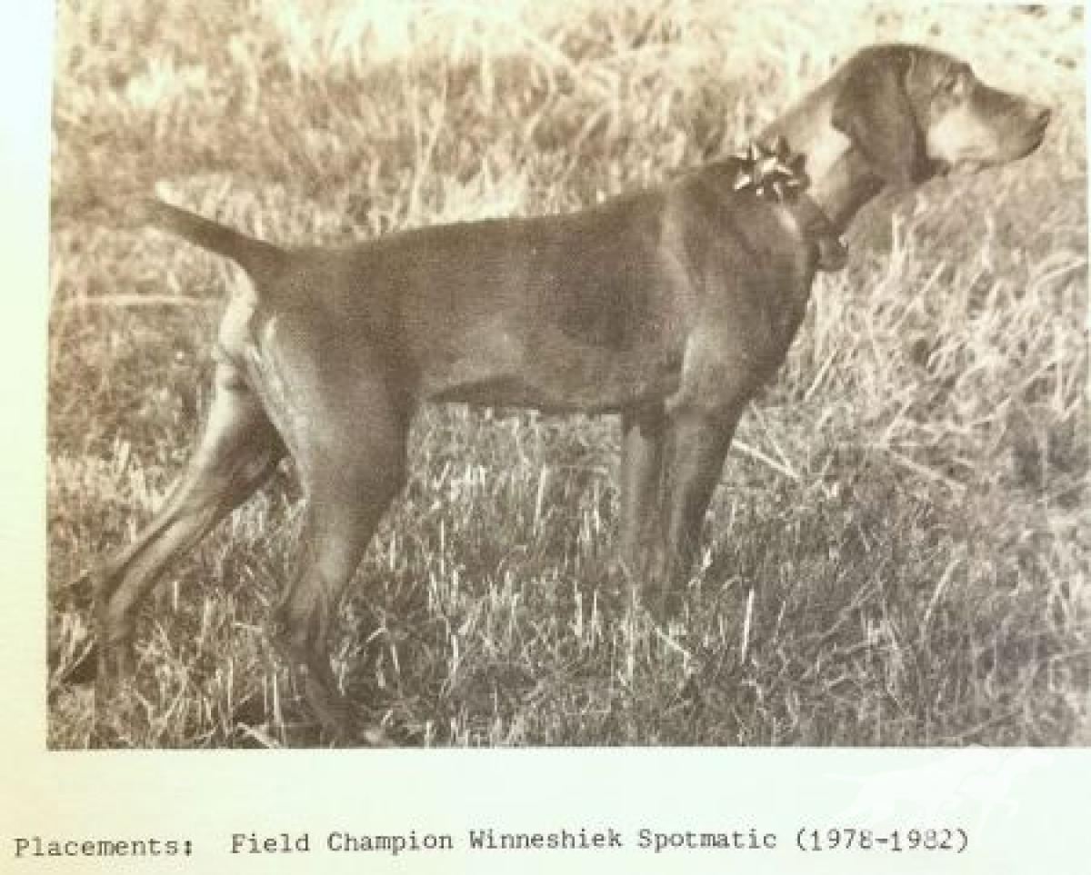 Winneshiek Spotmatic