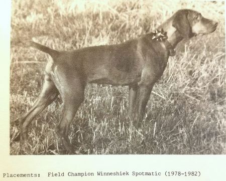 Winneshiek Spotmatic