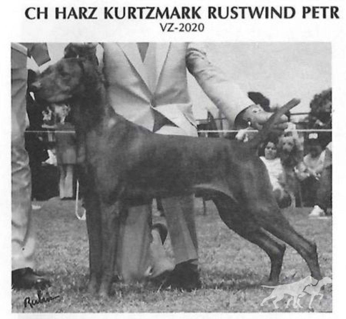 Harz Kurtzmark Rustwind Petr