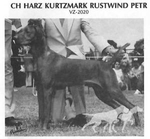 Harz Kurtzmark Rustwind Petr