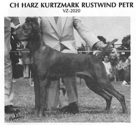 Harz Kurtzmark Rustwind Petr