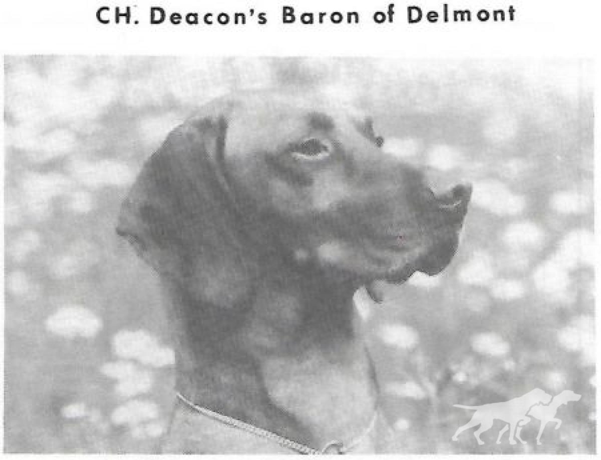 Deacon's Baron Of Delmont