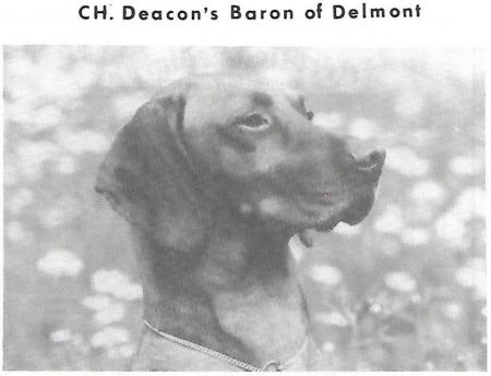 Deacon's Baron Of Delmont