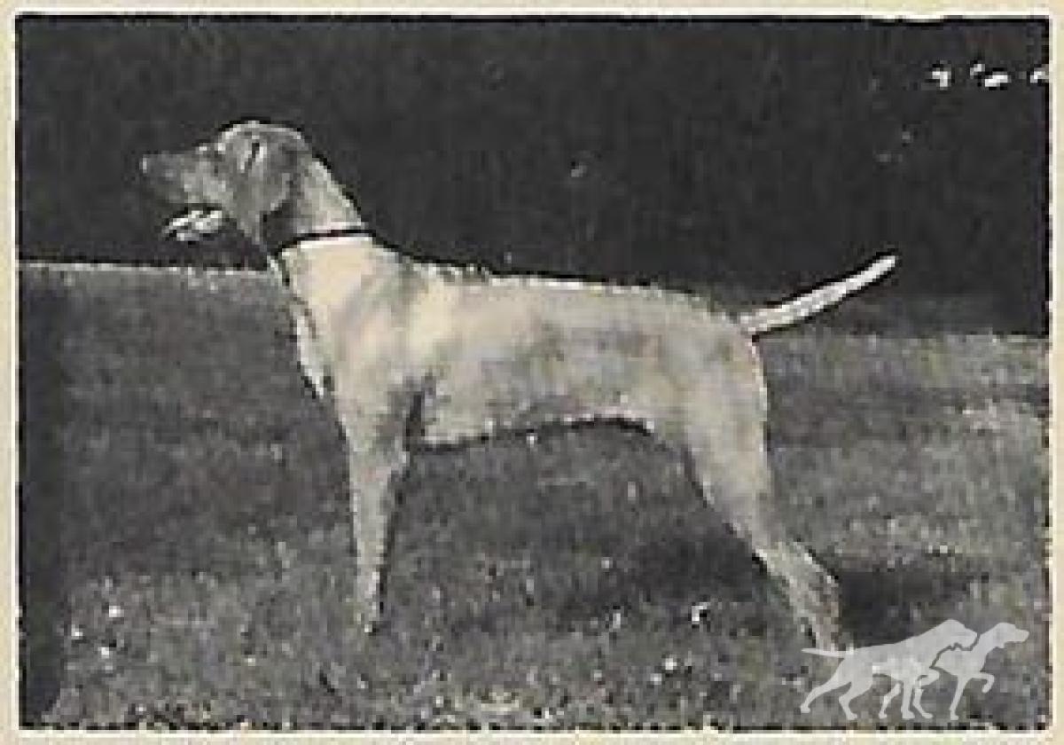 Deacon's Sj Myrlin Caleal