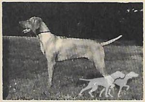 Deacon's Sj Myrlin Caleal