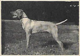 Deacon's Sj Myrlin Caleal