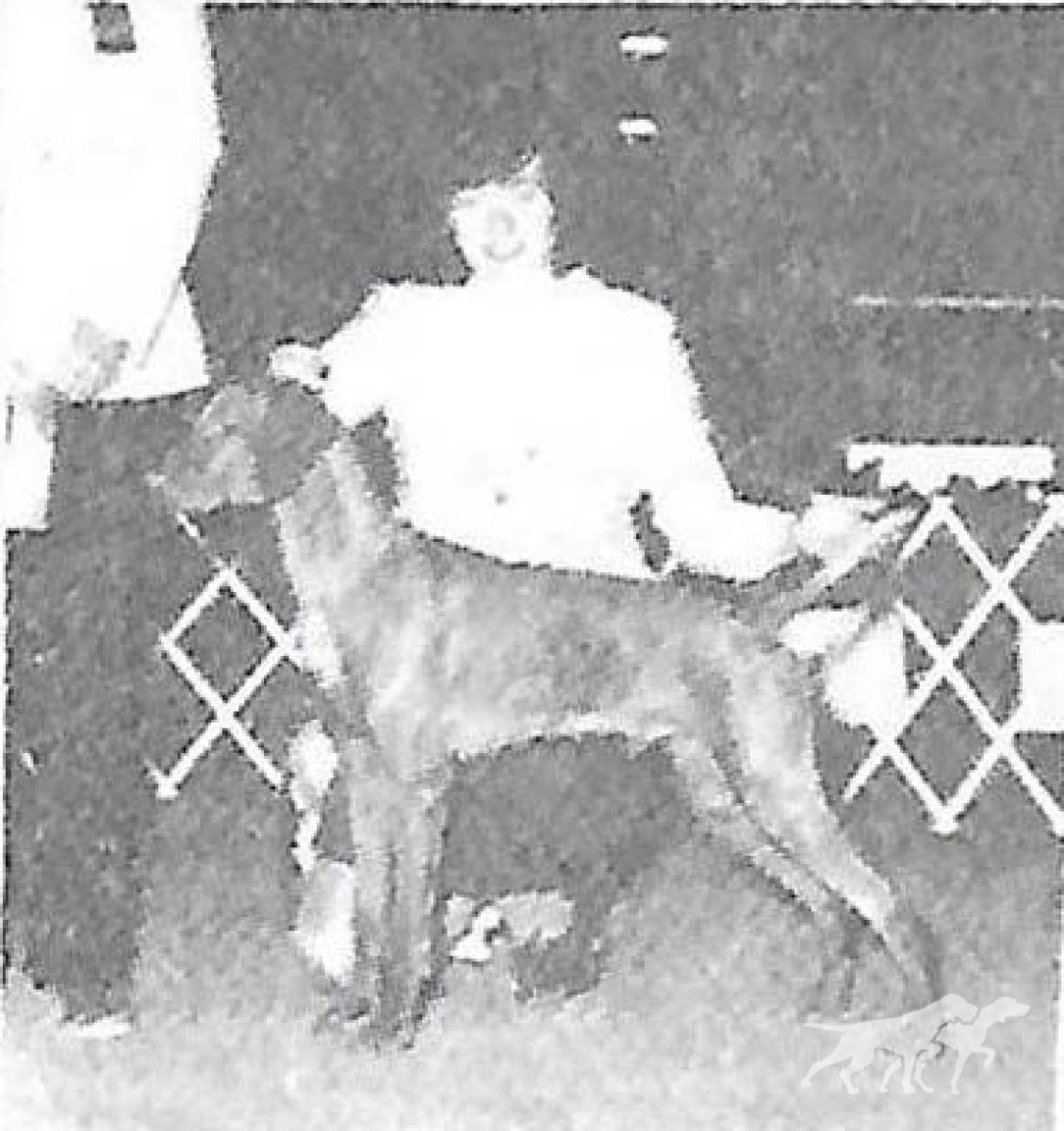 Pasko's Son Of Glenogen