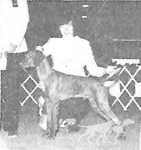 Pasko's Son Of Glenogen