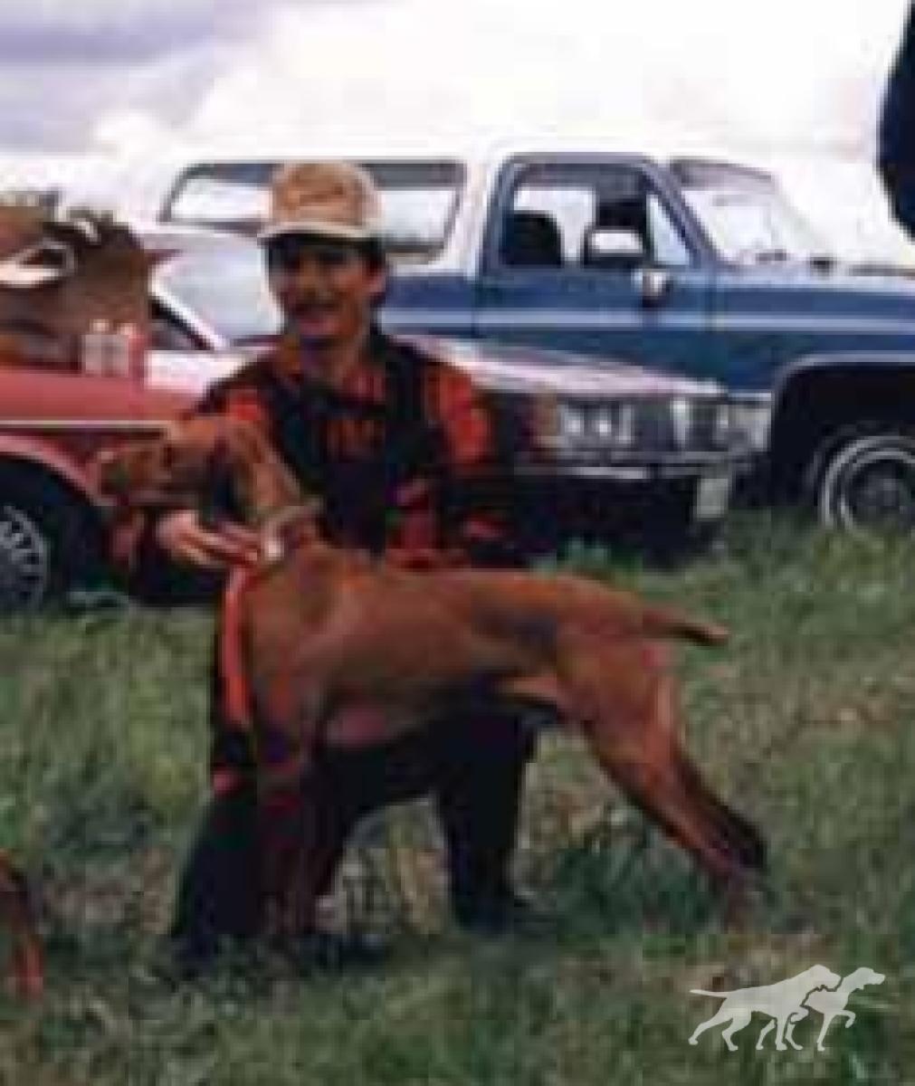 Weedy Creek Rufus