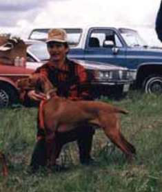 Weedy Creek Rufus