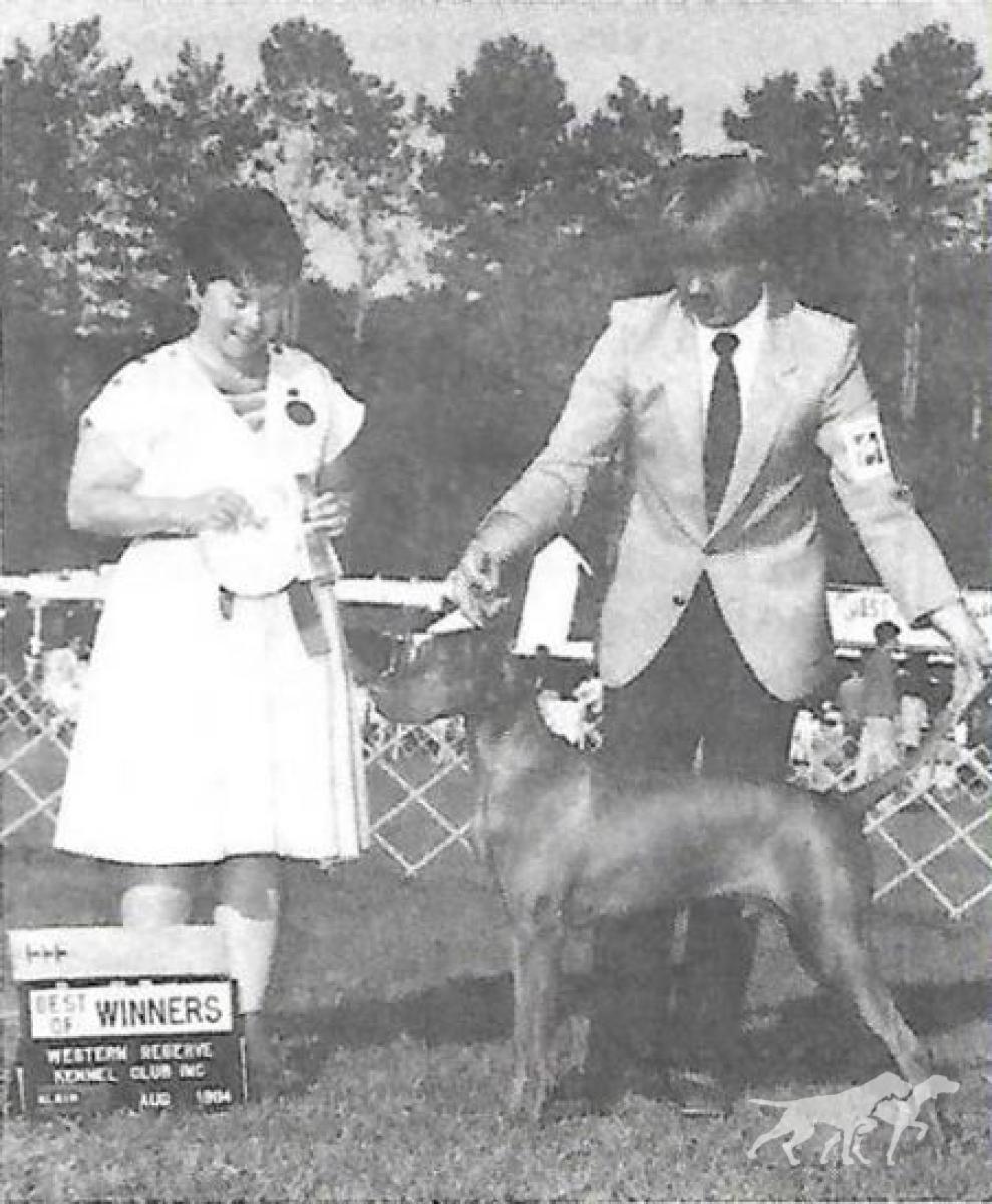 Brance's Grand Stand Gemini