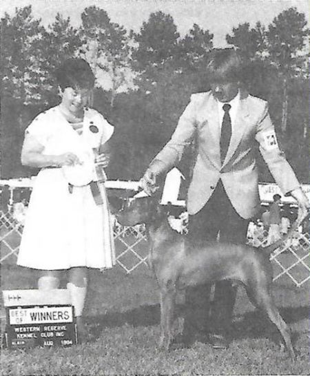 Brance's Grand Stand Gemini