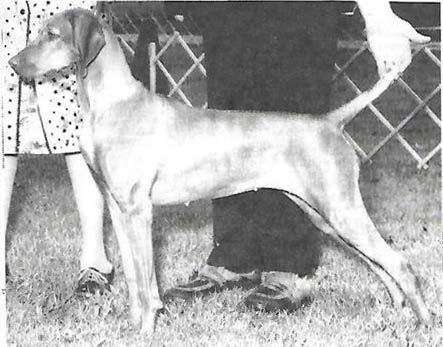 Brance's Moon River Athena