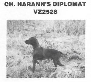 Harann's Diplomat
