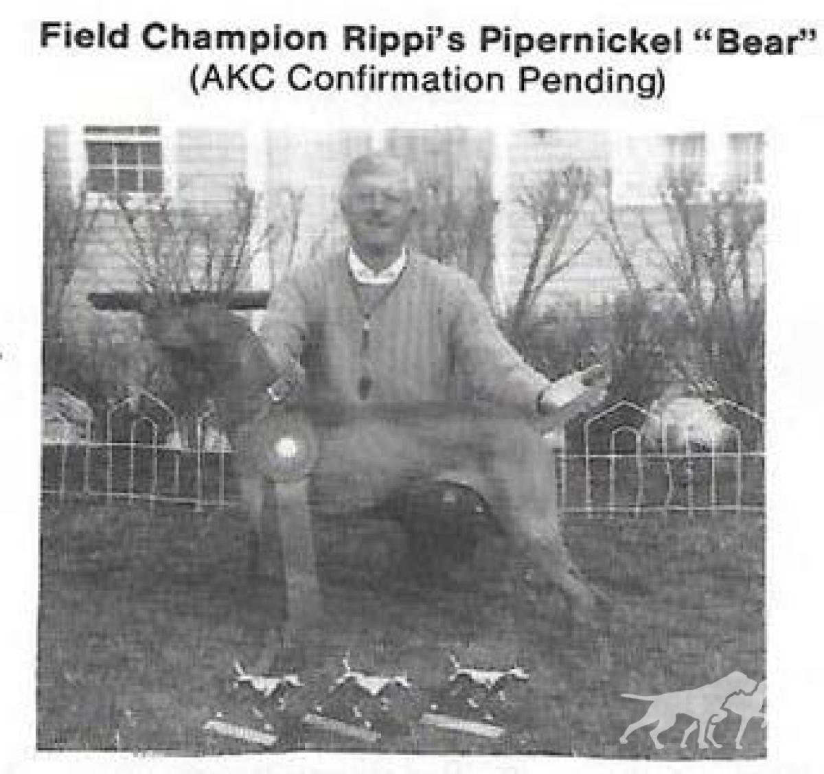 Rippi's Pipernickel Bear