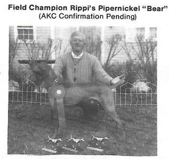Rippi's Pipernickel Bear