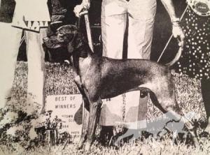 Loughran-Field Sundance Boelte