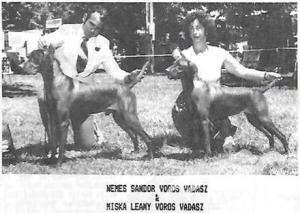 Nemes Sandor Voros Vadasz